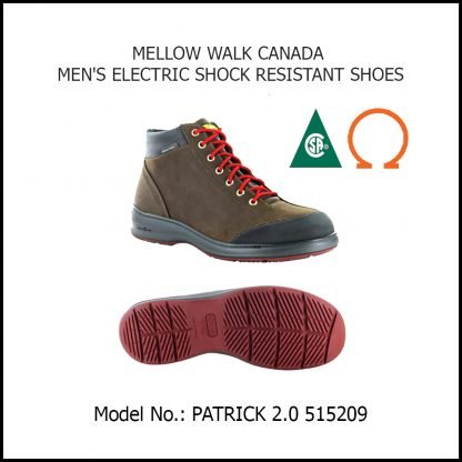 SAFETY SHOES FOR MEN